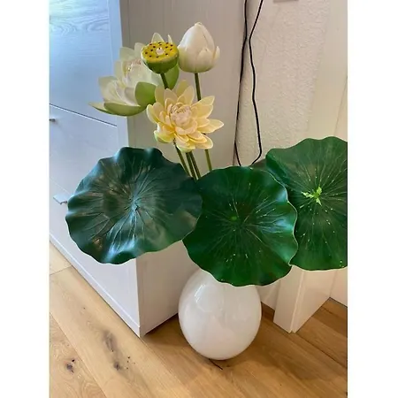 Annemarie 1 * Meersburg